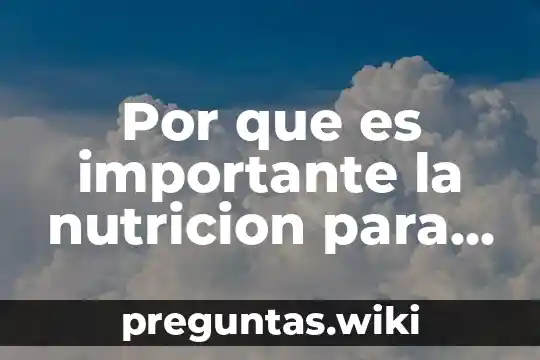 Por que es importante la nutricion para evitar el estres