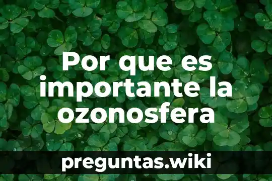 Por que es importante la ozonosfera