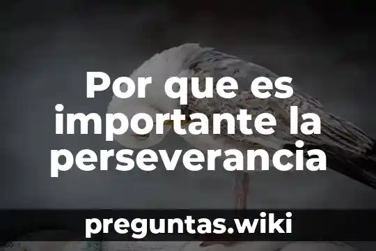 Por que es importante la perseverancia