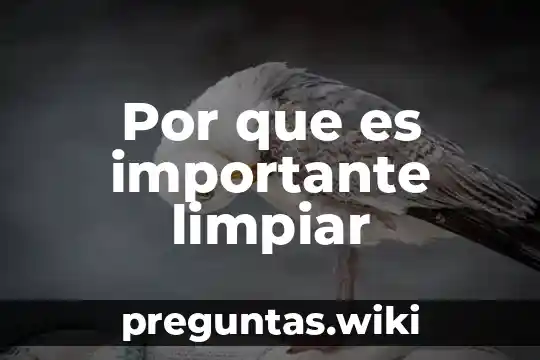 Por que es importante limpiar