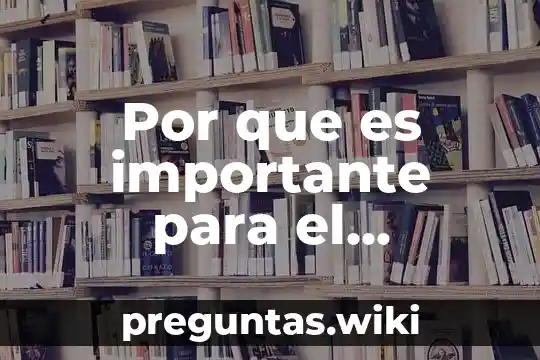Por que es importante para el docente entender la neurociencia