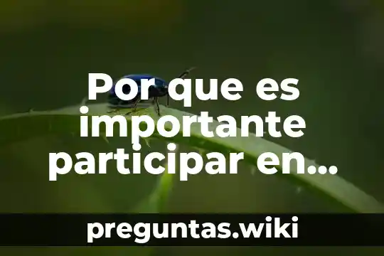 Por que es importante participar en las eleccionespara elegir gobernantes