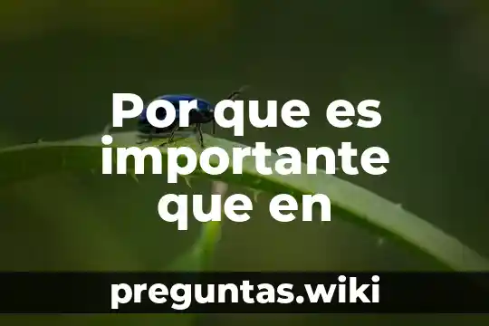 Por que es importante que en