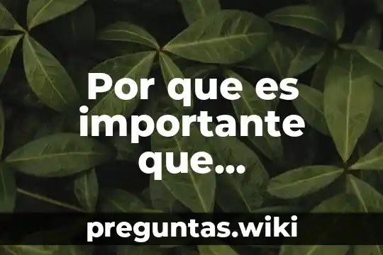 Por que es importante que participemos en sociedad yahoo