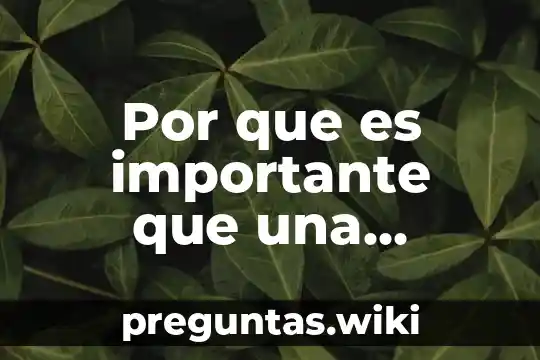 Por que es importante que una tortilleria utilice pronosticos