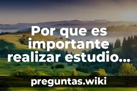Por que es importante realizar estudio de mercados