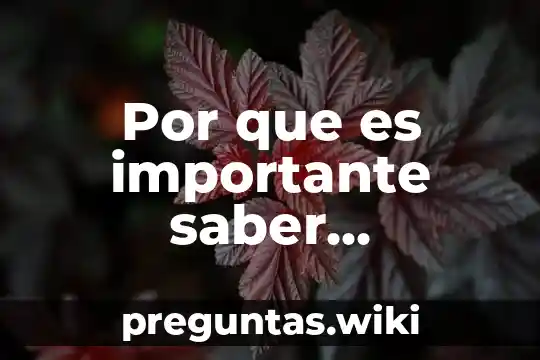 Por que es importante saber simplificar circuitos electronicos
