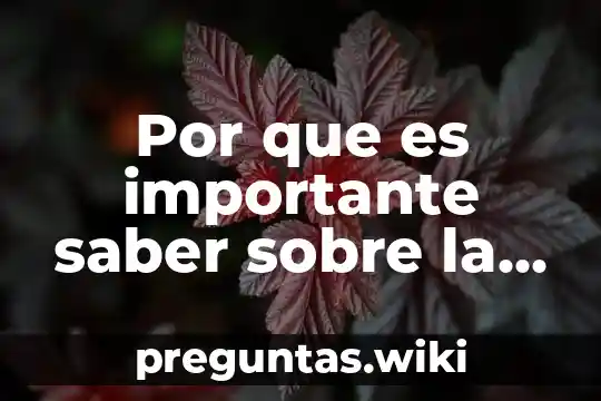 Por que es importante saber sobre la prehistoria