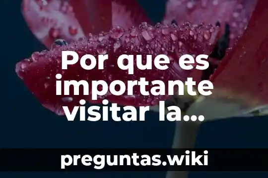 Por que es importante visitar la antigua torre de brasil