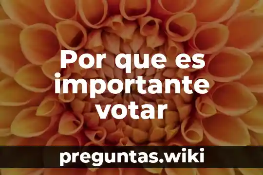 Por que es importante votar