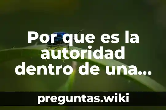 Por que es la autoridad dentro de una empresa