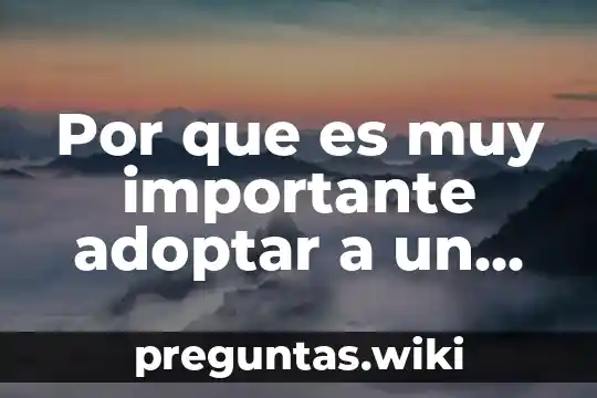 Por que es muy importante adoptar a un niño