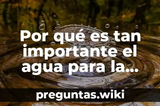 Por qué es tan importante el agua para la vida