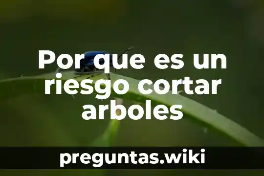 Por que es un riesgo cortar arboles