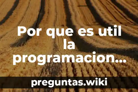Por que es util la programacion dinamica