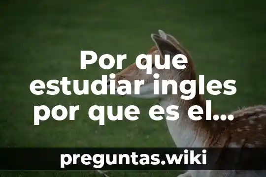 Por que estudiar ingles por que es el idioma universal