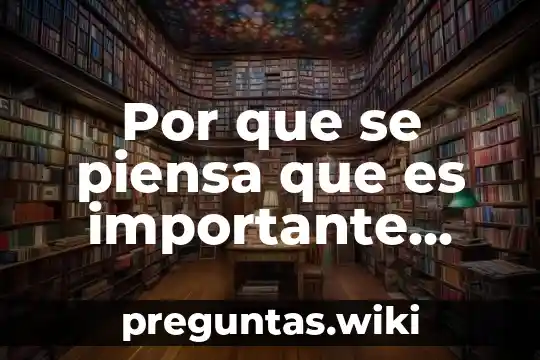 Por que se piensa que es importante analizar criticamente