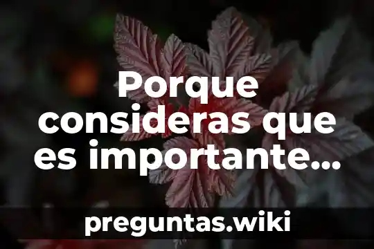 Porque consideras que es importante la educación