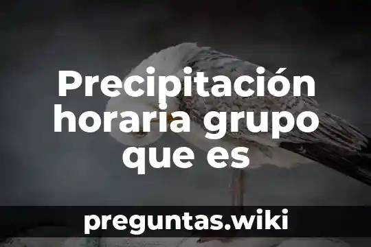 Precipitación horaria grupo que es