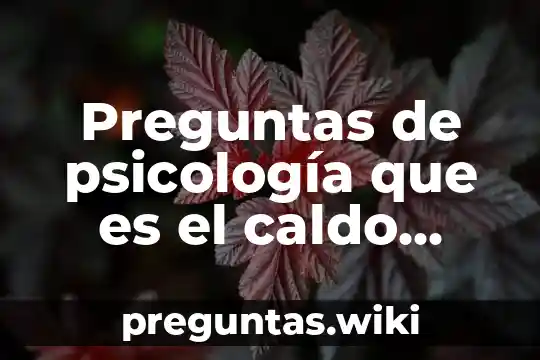 Preguntas de psicología que es el caldo familiar