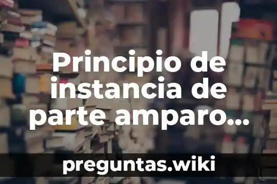Principio de instancia de parte amparo que es