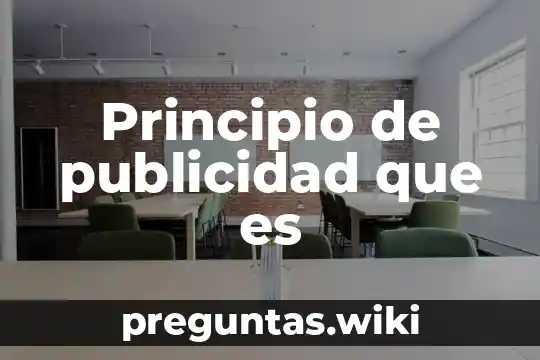 Principio de publicidad que es