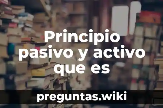 Principio pasivo y activo que es