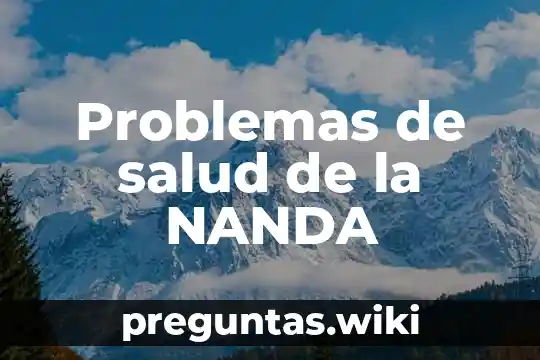 Problemas de salud de la NANDA