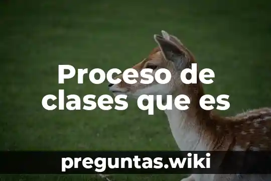 Proceso de clases que es
