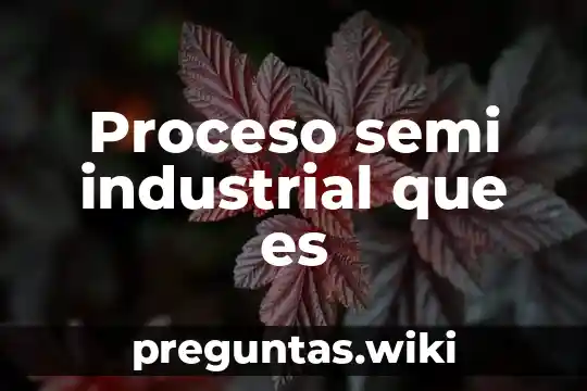 Proceso semi industrial que es