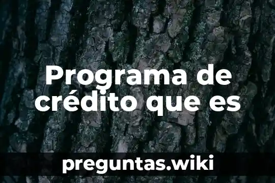 Programa de crédito que es