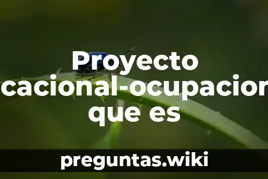 Proyecto vocacional-ocupacional que es