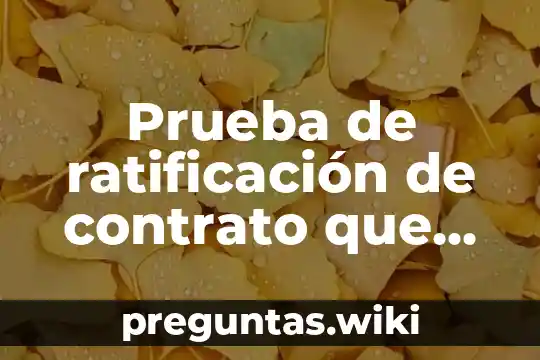 Prueba de ratificación de contrato que es