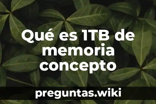 Qué es 1TB de memoria concepto