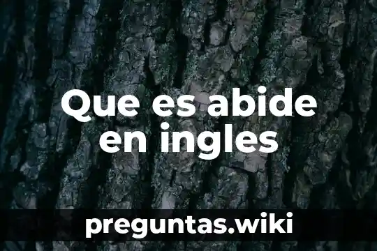 Que es abide en ingles