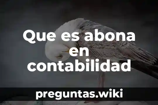 Que es abona en contabilidad