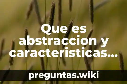 Que es abstraccion y caracteristicas en computacion