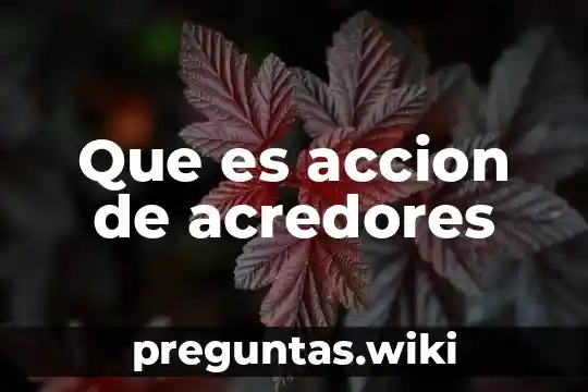 Que es accion de acredores