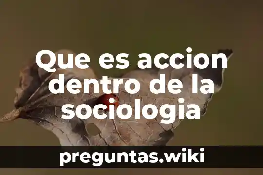 Que es accion dentro de la sociologia