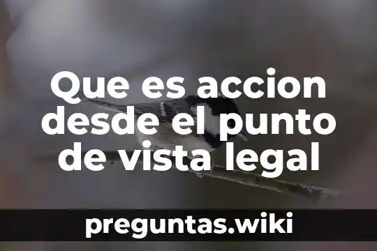 Que es accion desde el punto de vista legal