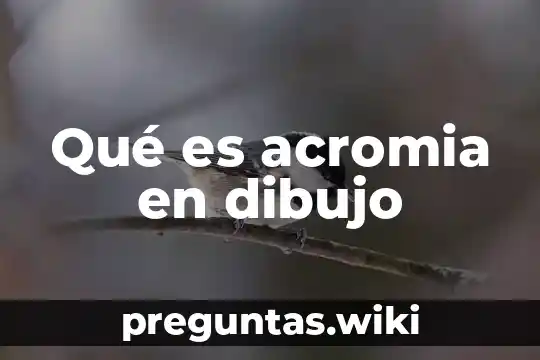 Qué es acromia en dibujo