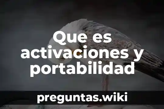 Que es activaciones y portabilidad