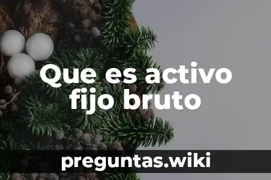 Que es activo fijo bruto