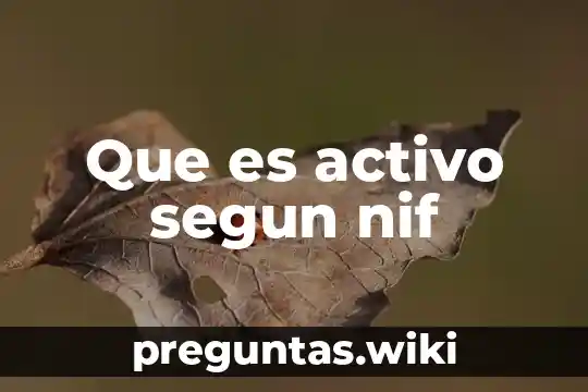 Que es activo segun nif