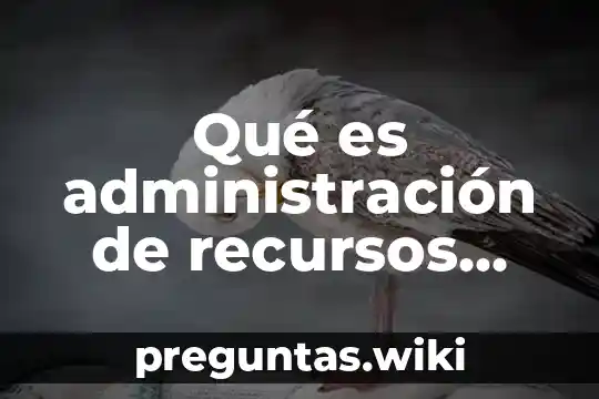 Qué es administración de recursos humanos para una empresa