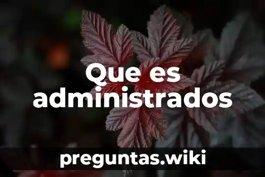 Que es administrados