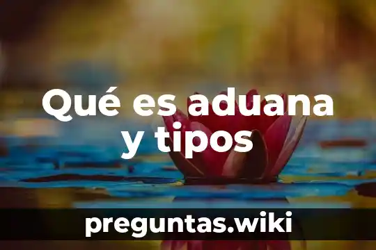 Qué es aduana y tipos