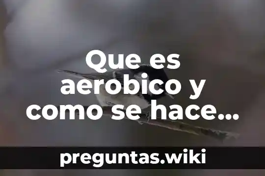 Que es aerobico y como se hace primero