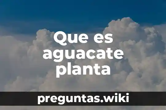 Que es aguacate planta