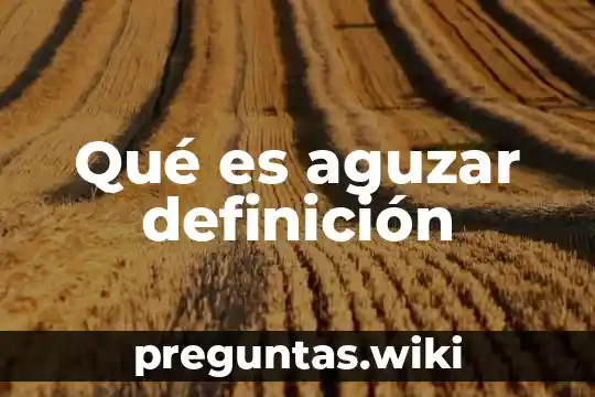 Qué es aguzar definición